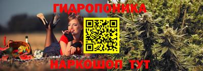 трава Аша