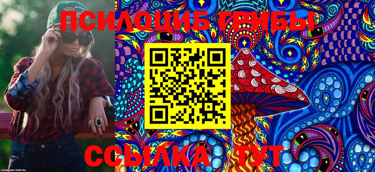 Псилоцибиновые грибы мицелий Великий Устюг