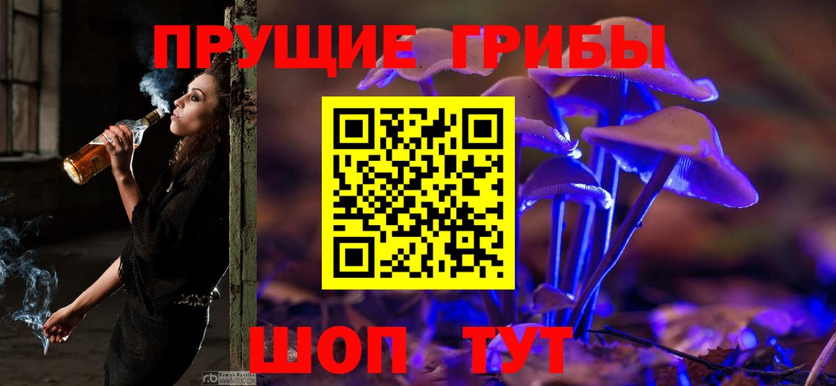 Псилоцибиновые грибы Cubensis  Псилоцибиновые грибы Cubensis  где купить   Вход с VPN  Великий Устюг 